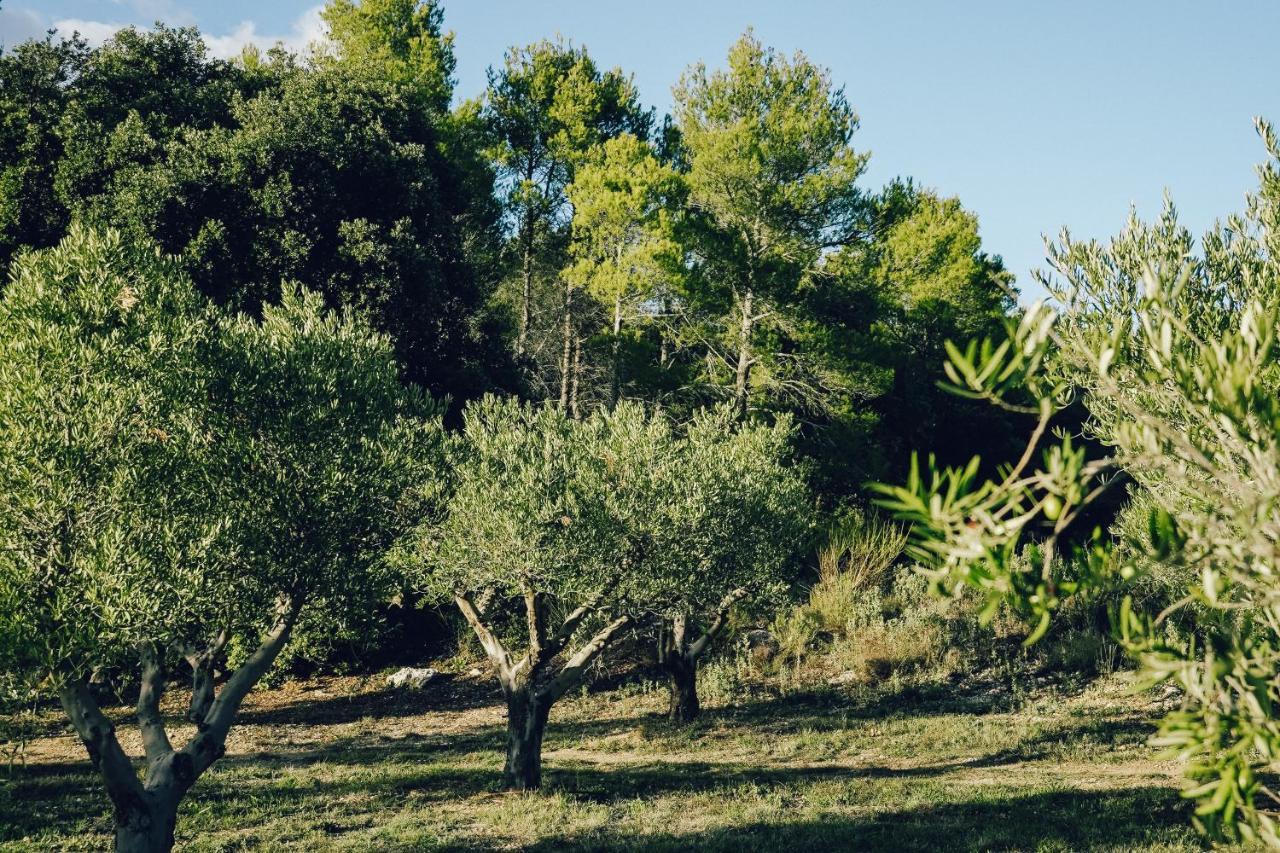 Domaine Monte Verdi Flayosc Zewnętrze zdjęcie