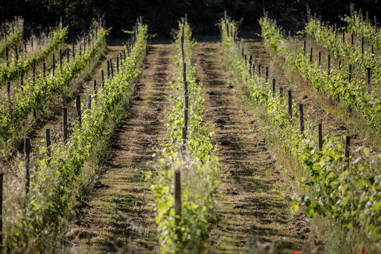 Domaine Monte Verdi Flayosc Zewnętrze zdjęcie